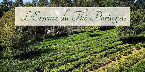 Atelier : L\u2019Essence du Th\u00e9 Portugais