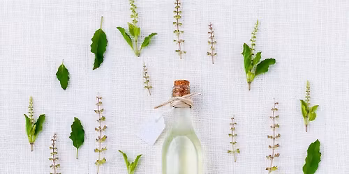 Atelier herboristerie : les plantes m\u00e9dicinales pour l'automne et l'hiver