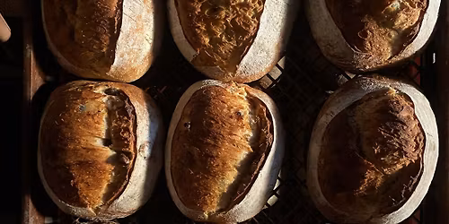 Live @ The Dojo - Hamish Hudson & Friends