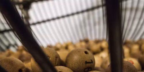 IIDA Albany City Center Bingo Night