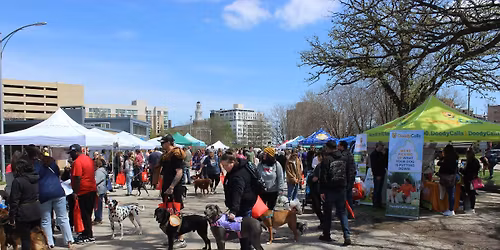 6th Annual Doggy Barket
