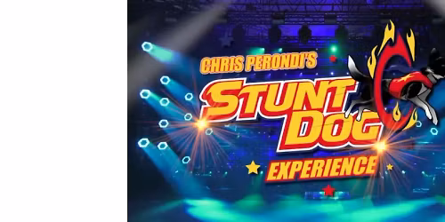 Chris Perondi's Stunt Dog Experience