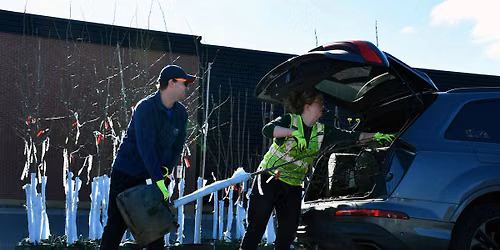 St. Louis Park Tree Distribution