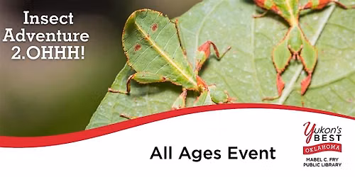 Insect Adventure 2.OHHHHH! (All Ages\/Families)
