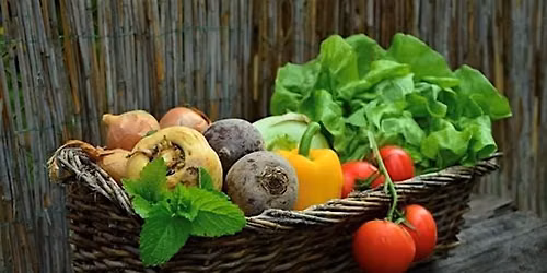 Grow Veggie Year Round