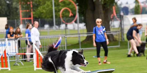 Bringing clarity to contacts!