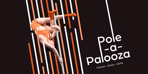 Pole-a-Palooza! A Meeting for Pole Artists