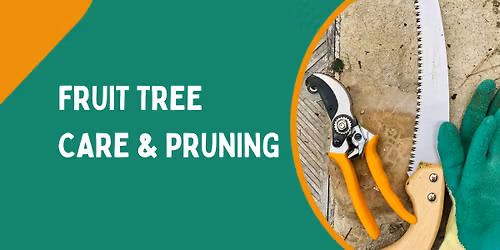 Fruit Tree Care & Pruning