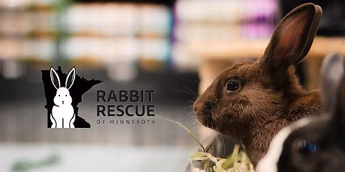 RRMN Romp & Spa\/ Nail Trim Event