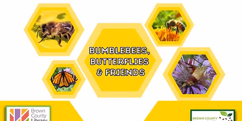 Bumble Bees, Butterflies & Friends: A Pollinator Week Celebration