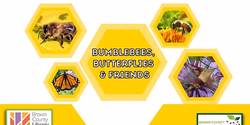 Bumble Bees, Butterflies & Friends: A Pollinator Week Celebration