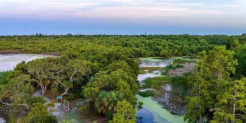 Natural History Speaker Series-Florida Scrub Jays