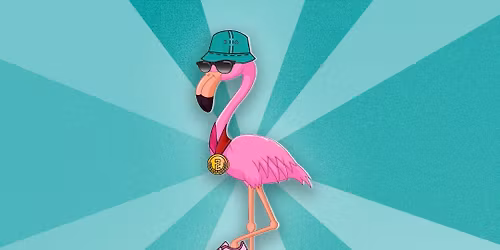 The Flamingo Family Fun Run 3k