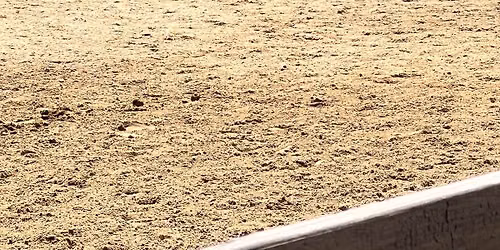 DPS Open Schooling Show