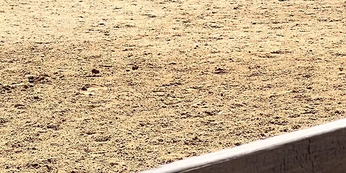 DPS Open Schooling Show 