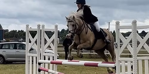 Show Jump competition (League)