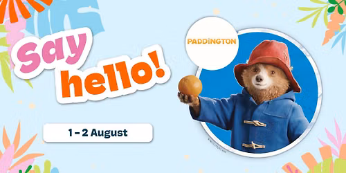 Say Hello - Meet Paddington Bear