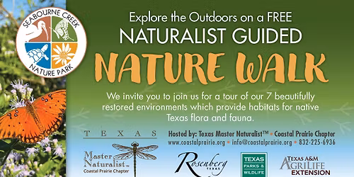FREE Monthly Nature Walk at Seabourne Creek Nature Park Sunday, December 21st
