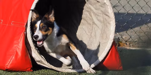 Vinterspretten 2 NHK 2026