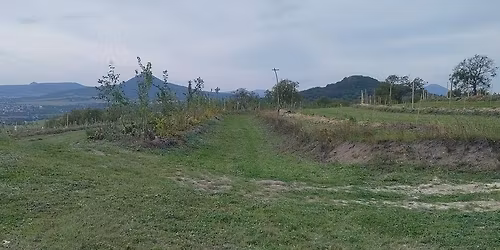 Dynamika regenerativn\u00edho agrolesnictv\u00ed \/ Dynamic Agroforestry Workshop