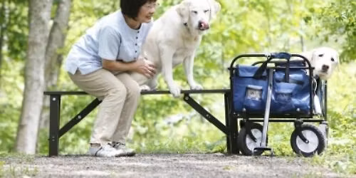 12\u670813\u65e5\uff08\u571f\uff09\u571f\u66dc\u65e5\u306e\u5348\u5f8c\u306f H2O\u30b5\u30f3\u30bf \u30c1\u30e3\u30ea\u30c6\u30a3\u30fc\u30c8\u30fc\u30af\u30a4\u30d9\u30f3\u30c8\uff1cNPO\u6cd5\u4eba\u65e5\u672c\u30b5\u30fc\u30d3\u30b9\u30c9\u30c3\u30b0\u5354\u4f1a\uff1e\u306e\u304a\u77e5\u3089\u305b