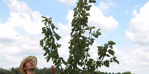 Workshop spr\u00e1vn\u00e9 v\u00fdsadby a p\u00e9\u010de o ovocn\u00e9 stromy