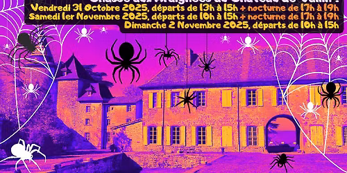 Chasse aux Araign\u00e9es au Ch\u00e2teau de Vallin \u00e0 Saint-Victor de Cessieu