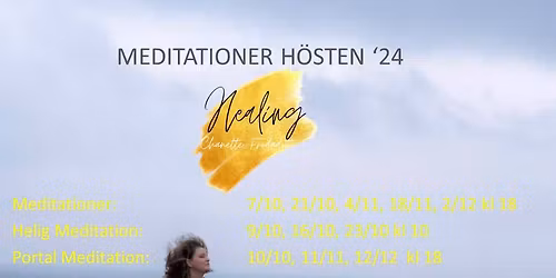 11 11 portal meditation - guidad