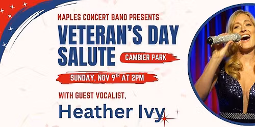 Veteran's Day Salute