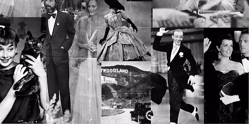 Mutt Gala: The Velvet Paw