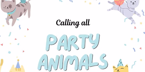 KCC 1 Year Anniversary Party! \ud83e\udd73\ud83d\udc96\ud83d\ude38