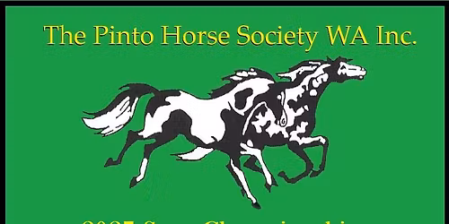 2025 Pinto State Championship show