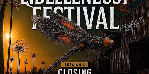 Libellen Lust Open Air Festival CLOSING