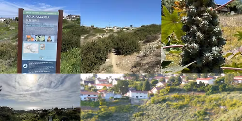 Docent Guided Nature Walk at Agua Amarga Reserve