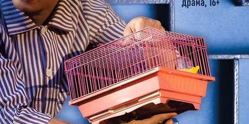 Blomstrer til Algernon \/\u0426\u0432\u0435\u0442\u044b \u0434\u043b\u044f \u042d\u043b\u0434\u0436\u0435\u0440\u043d\u043e\u043d\u0430 