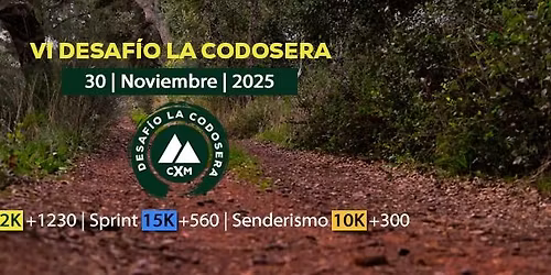 VI DESAFIO LA CODOSERA - 2025