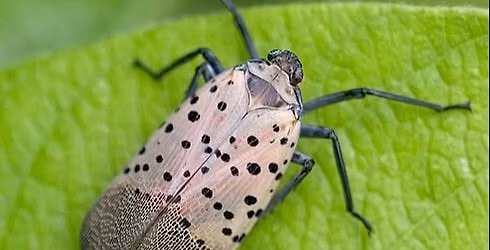 Hamden Land Trust Annual Meeting