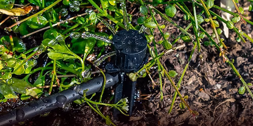 Master Gardener Class: Irrigation