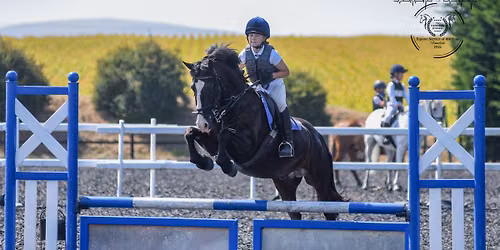West Somerset Pony Club: Team & Individual Show Jumping