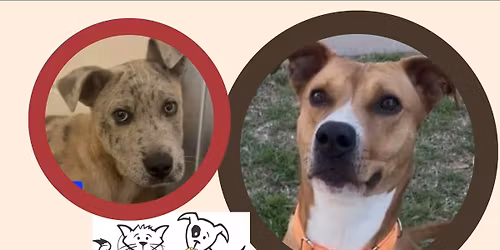 Fleet Farm Adoption Event 