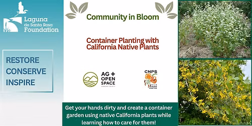 Community in Bloom: Container Planting with California Native Plants