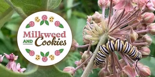 4th Annual Milkweed and Cookies - Native Plant Giveaway and Vendor Fair
