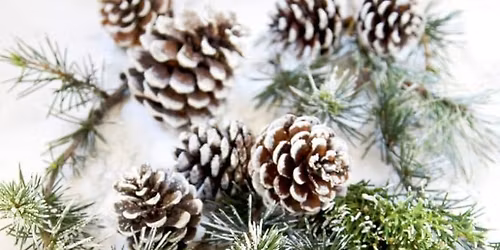 Free Family Fun Day: Pinecone Owls