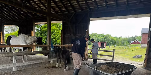 Spring Volunteer Cleanup Day 