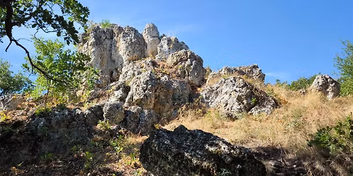 Vak\u00e1ci\u00f3s  Gyermek \u00e9s Ifj\u00fas\u00e1gi Bibliah\u00e9t 2026 