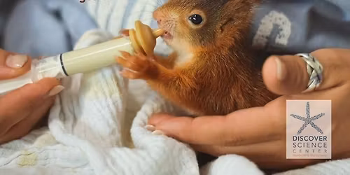 HOMESCHOOL: HABITAT DESIGN