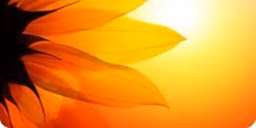 Summeraafang un Dingsege