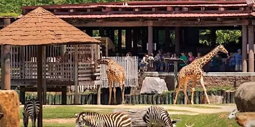 Capital City Critter Carnival at Montgomery Zoo
