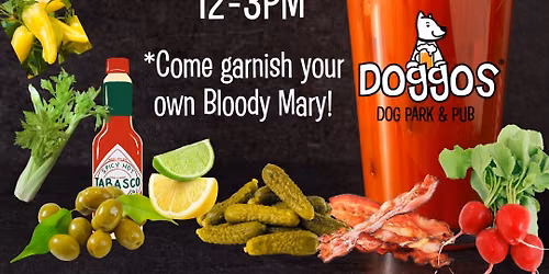 Bloody Mary Bar