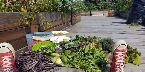 Zelen\u00e9 strechy - ako na to?